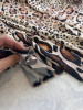 Роскошный лео в стиле R. CAVALLI